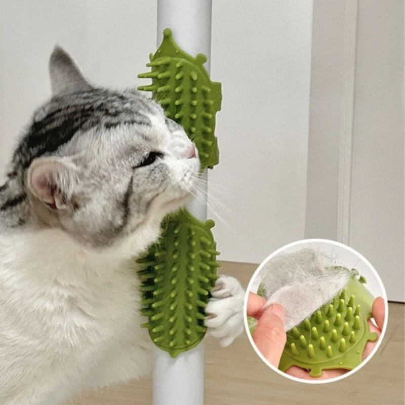 Brosse à Chat verte chat se gratte dessus