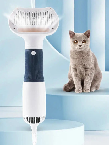 Brosse chat bleu marin chat attentif