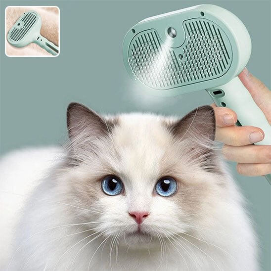 Brosse chat verte menthe usage spray