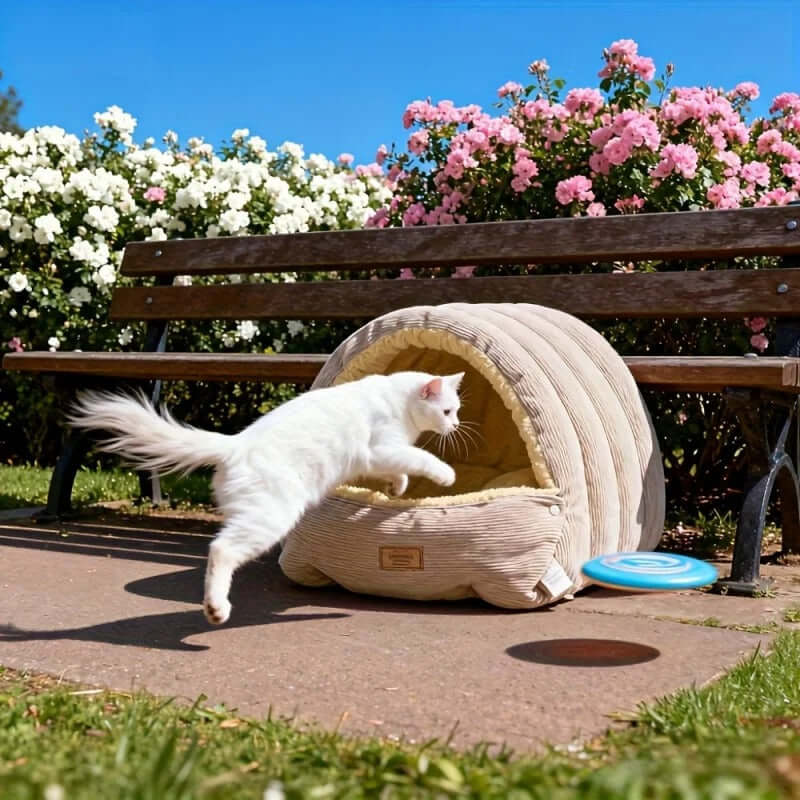Cocon pour Chat beige chat va se reposer