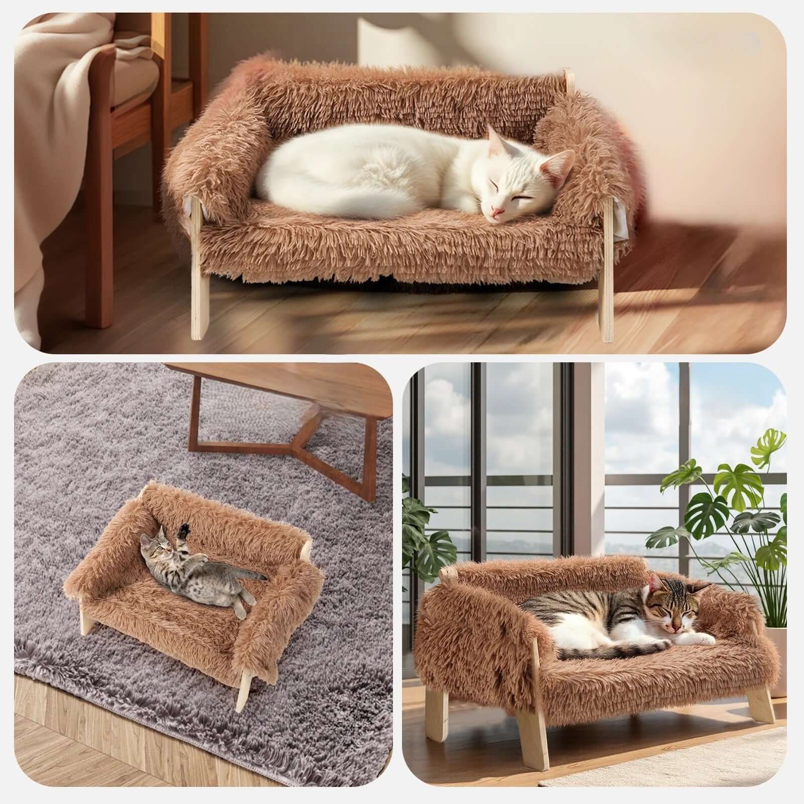 Cododo Chat marron différentes places