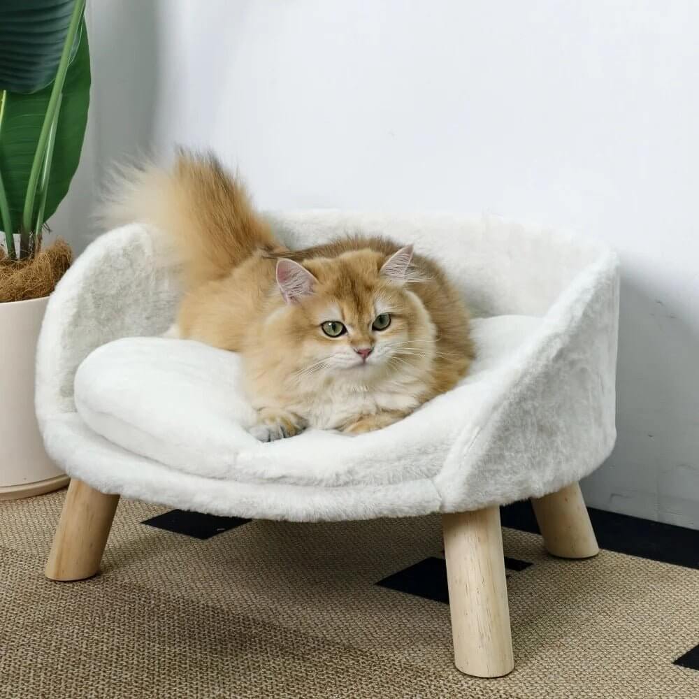 Cododo pour chat blanc chat attentif 
