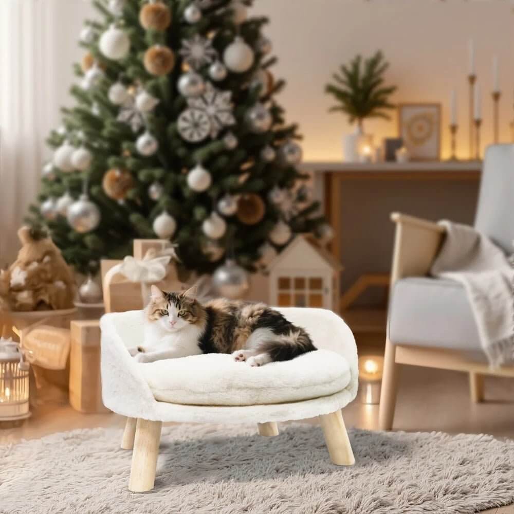Cododo pour chat blanc chat en détente
