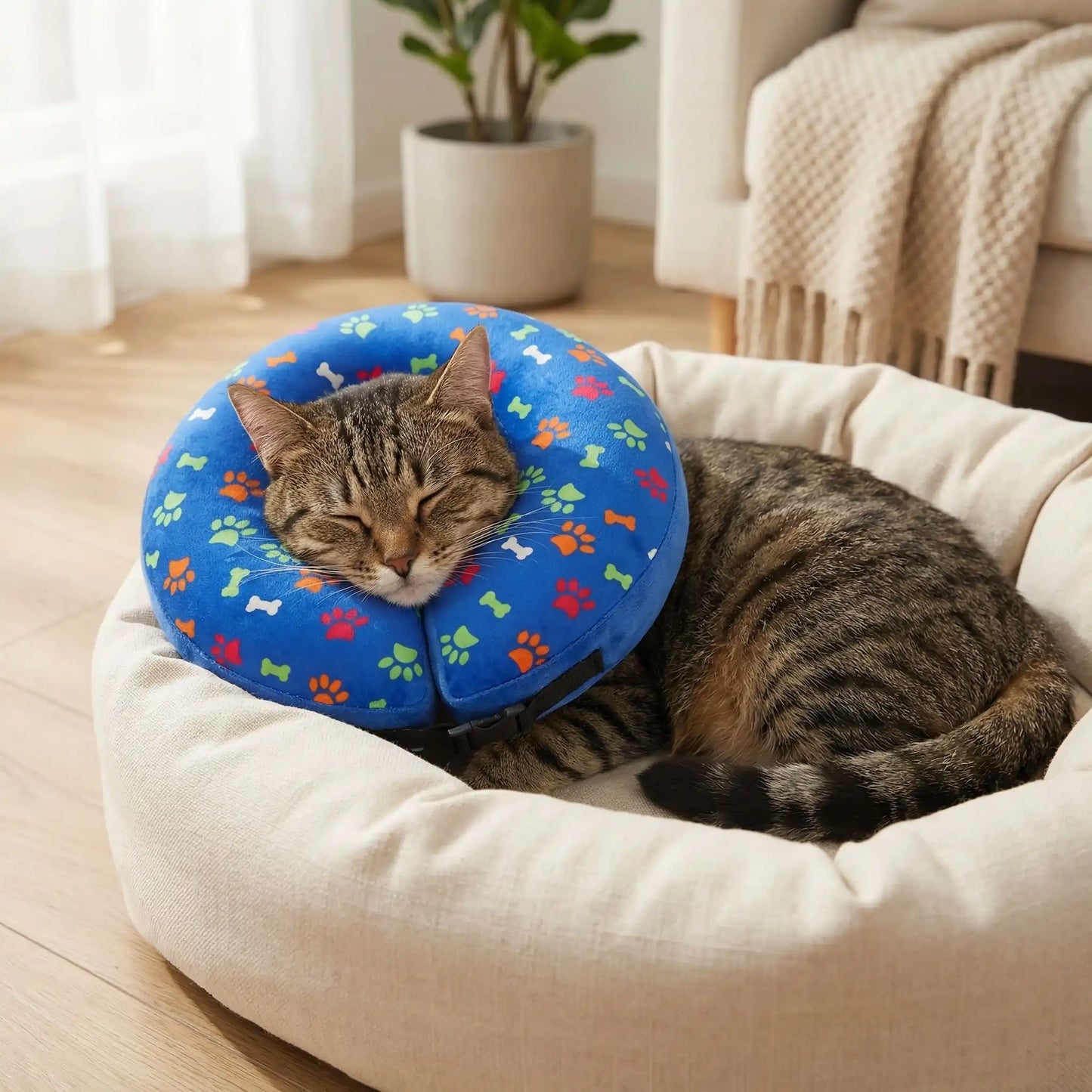 Collerette gonflable chat | Miaou'Bouclier™ - Transportdodochat