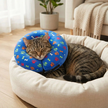 Collerette gonflable chat | Miaou'Bouclier™ - Transportdodochat