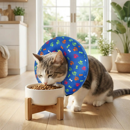 Collerette gonflable chat | Miaou'Bouclier™ - Transportdodochat