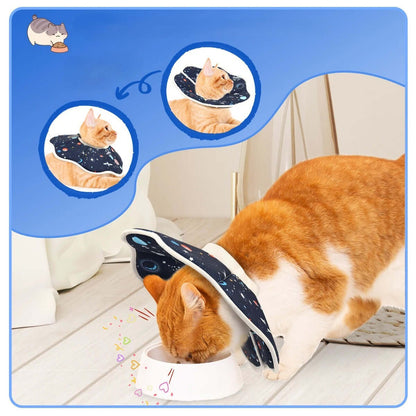 Collerette pour chats | Bulle de Confort™ - Transportdodochat