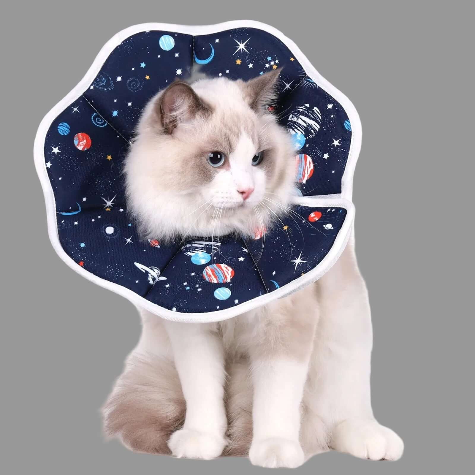 Collerette pour chats | Bulle de Confort™ - Transportdodochat
