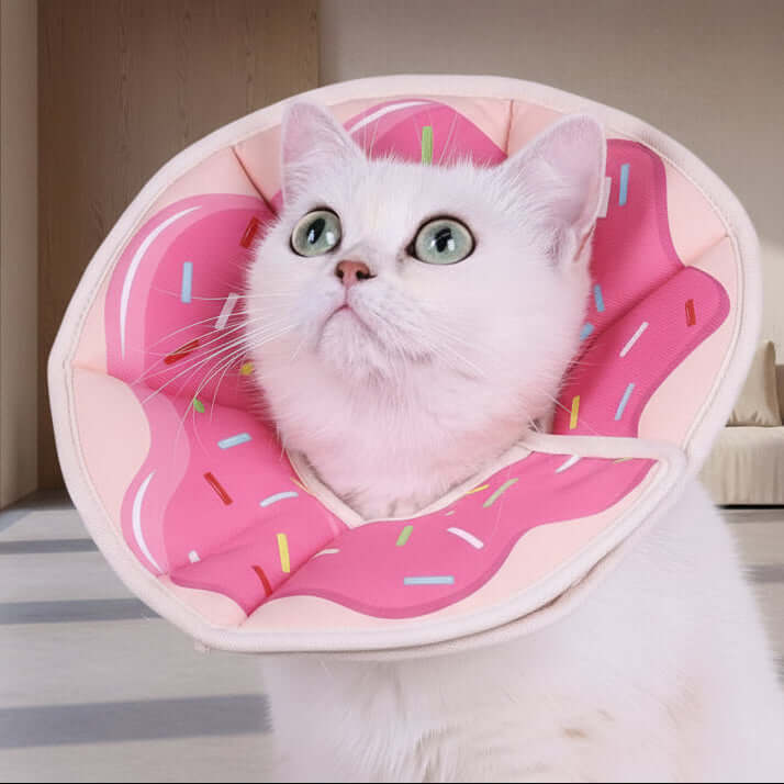 Collerette pour chats | Bulle de Confort™ - Transportdodochat
