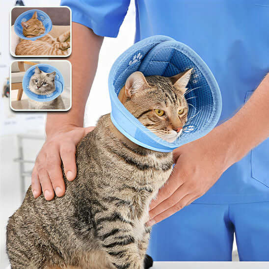 Collerette souple pour chat | Cocon de Guérison™ - Transportdodochat