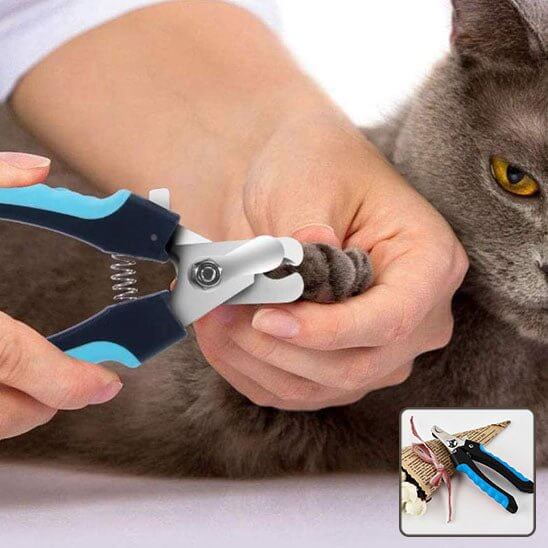 Coupe griffe chat | GriffeParfaite™ - Transportdodochat