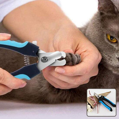 Coupe griffe chat | GriffeParfaite™ - Transportdodochat