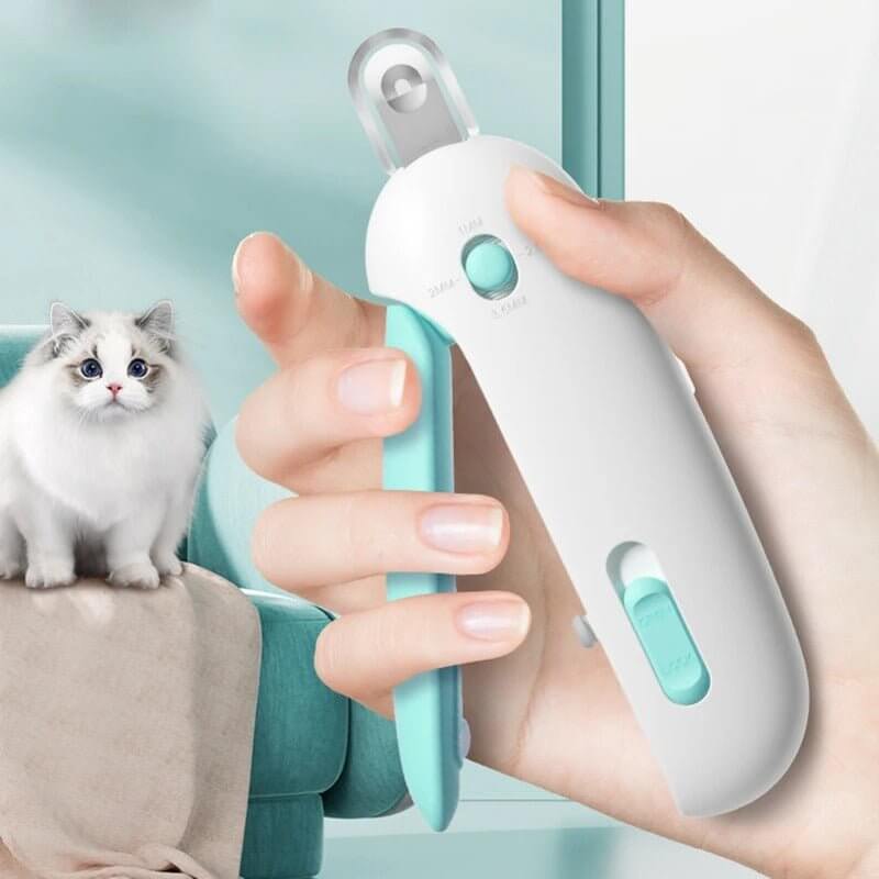 Coupe griffe pour chat | Professionnel - Transportdodochat