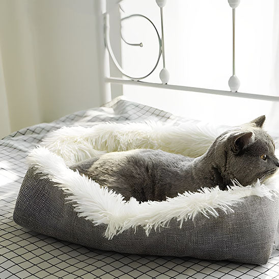 Coussin pour chat - Cocon Câlin™ - Transportdodochat