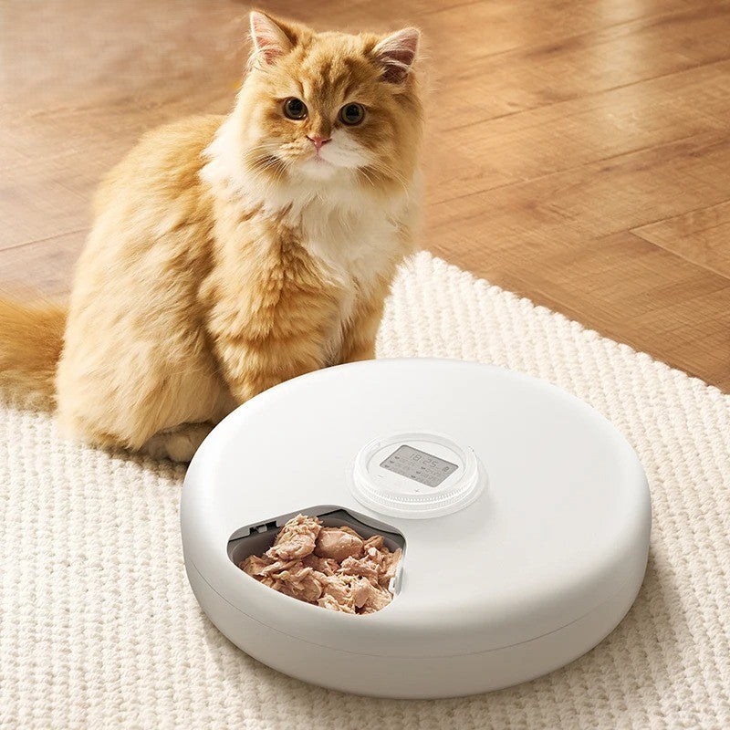 Distributeur automatique croquettes chat-chat va manger