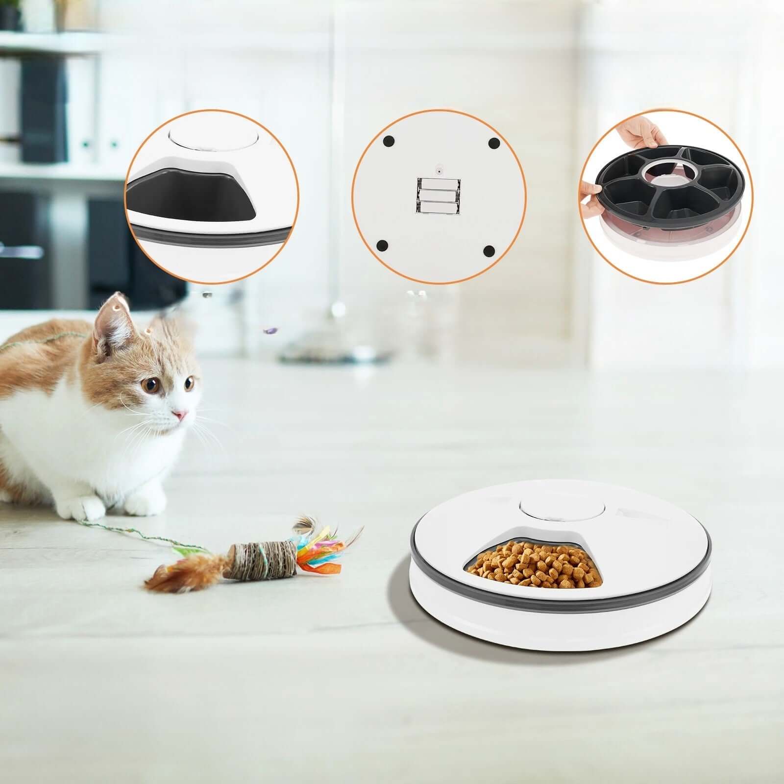 Distributeur automatique de nourriture pour chat démontable