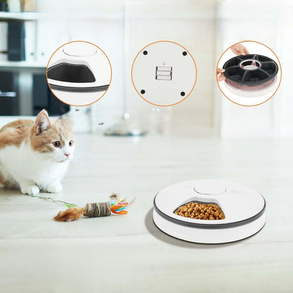 Distributeur automatique de nourriture pour chat démontable