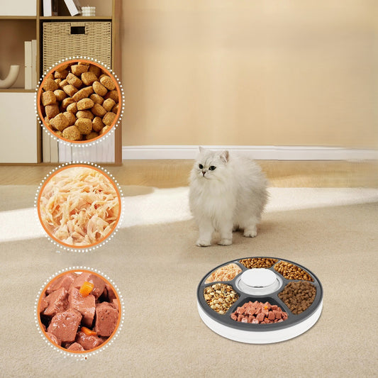 Distributeur automatique de nourriture pour chat | ChronoFeed™ - Transportdodochat