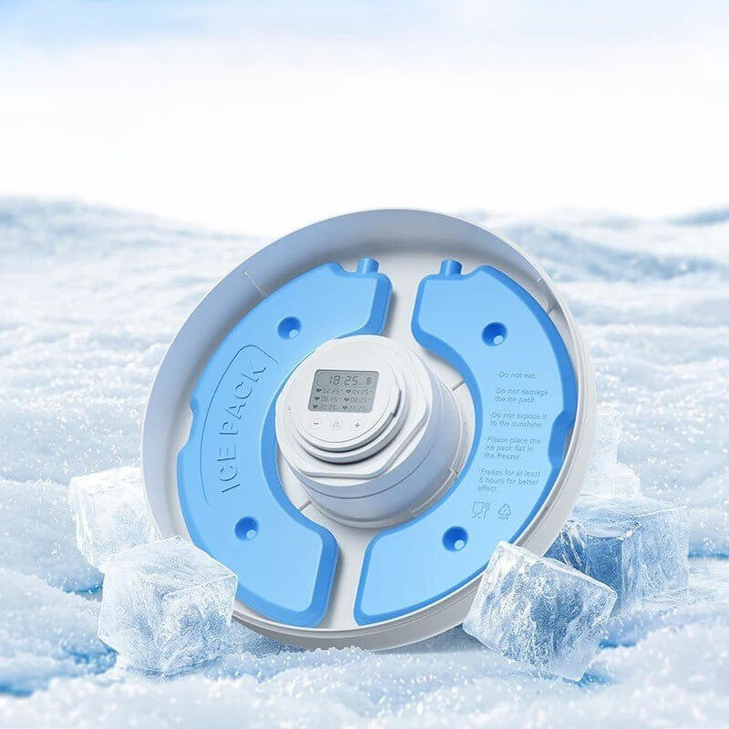 Distributeur automatique nourriture chat deux blocs de glace