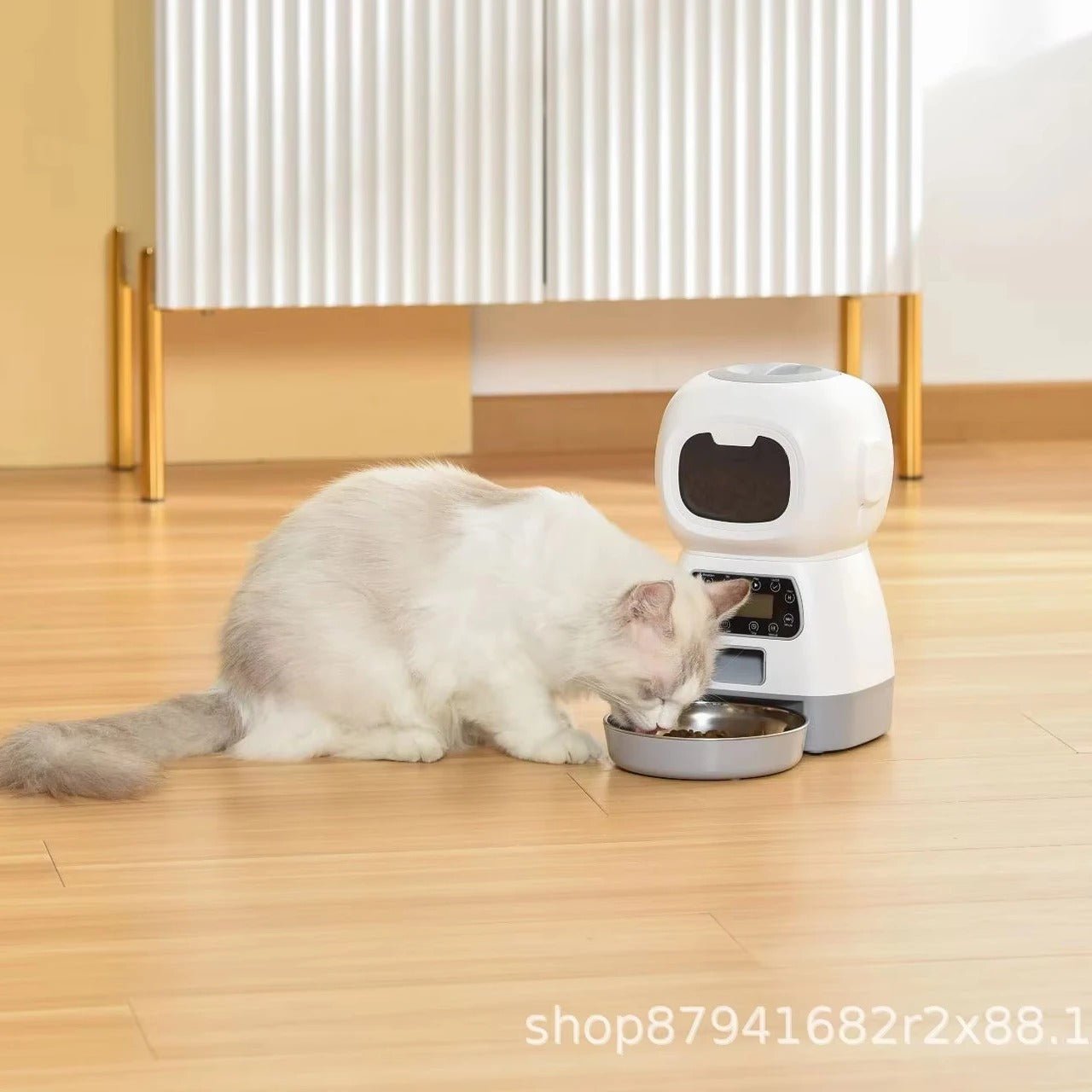 Distributeur croquettes chat sans WIFI chat affamé