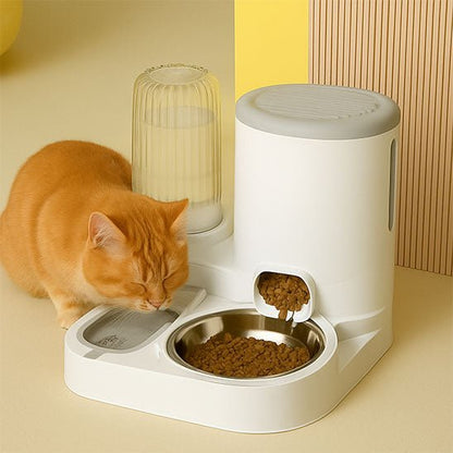 Ensemble distributeur de croquettes fontaine pour chat gris chat va boire
