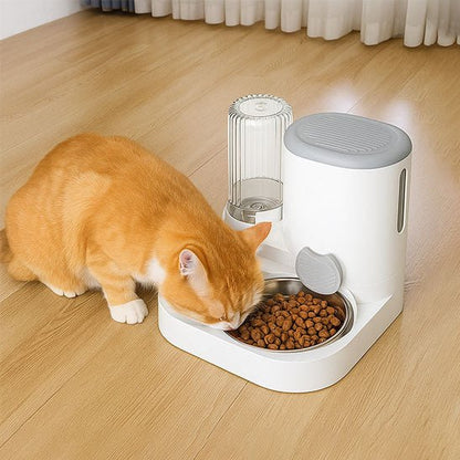 Ensemble distributeur de croquettes fontaine pour chat gris chat mangeant