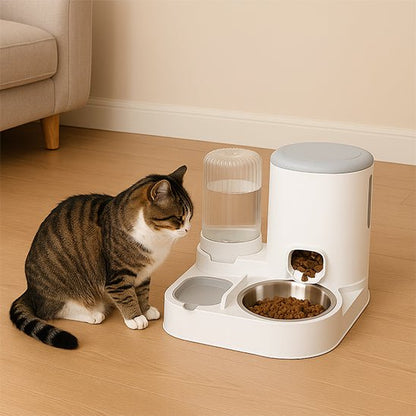Ensemble distributeur de croquettes fontaine pour chat gris chat veut manger