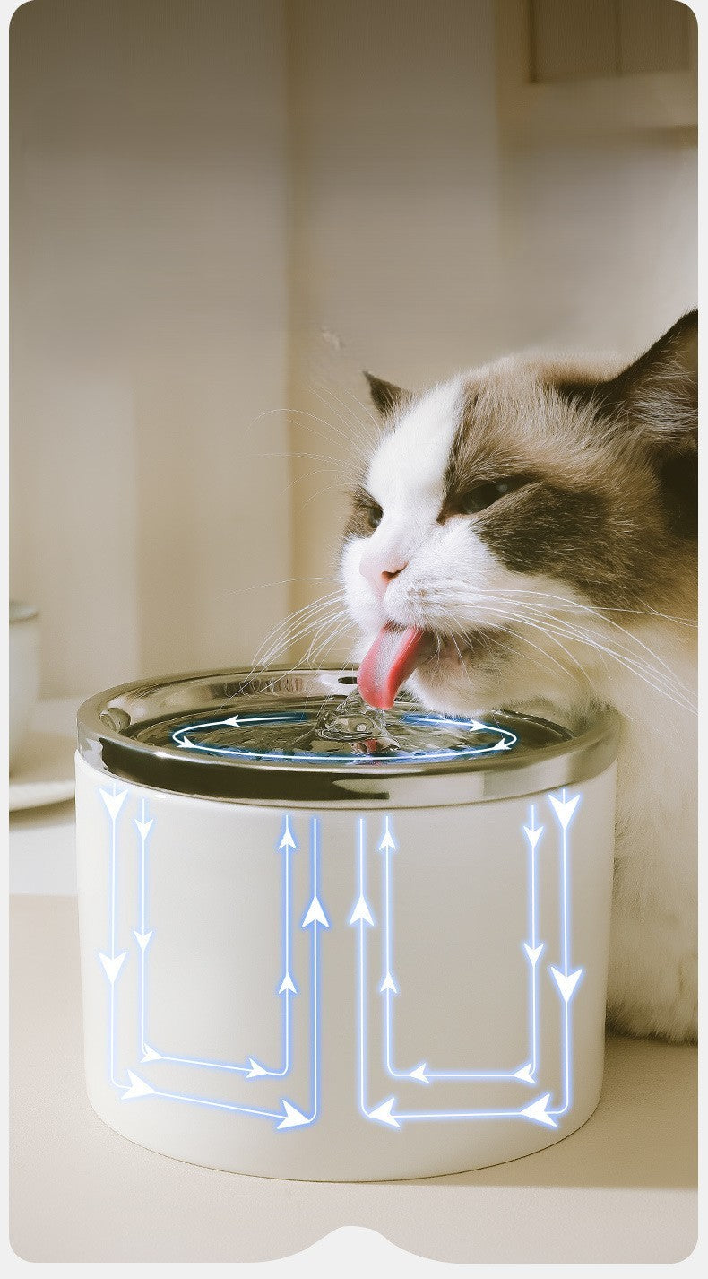 Fontaine à eau pour chat blanche chat boit