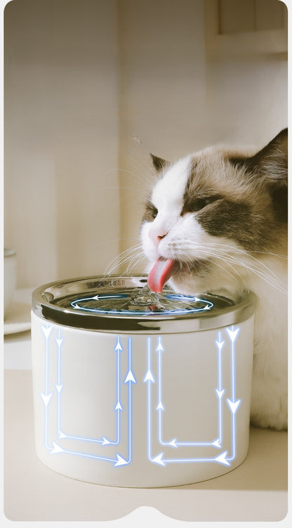 Fontaine à eau pour chat blanche chat boit