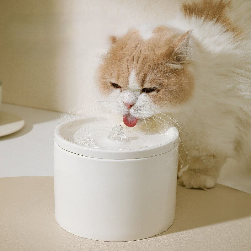 Fontaine à eau pour chat céramique blanche en décor 