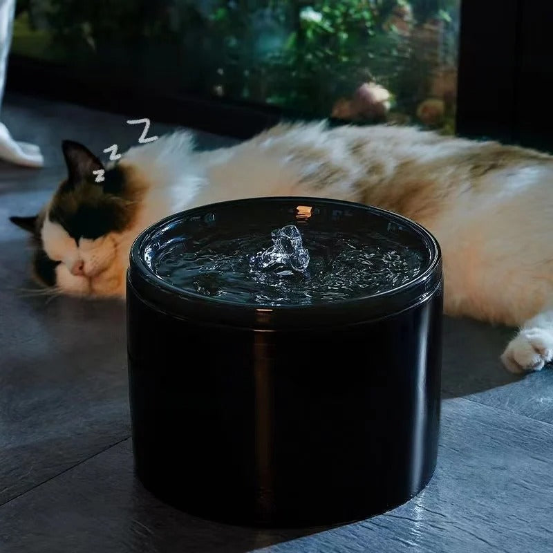 Fontaine à eau pour chat noir chat dort à côté