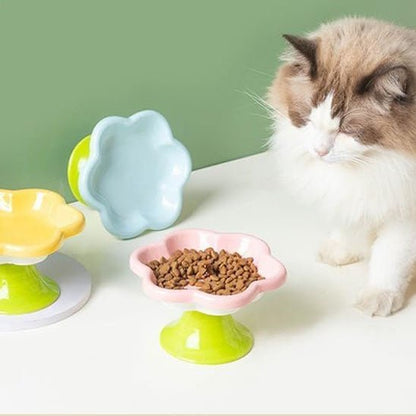 Gamelles chat multicolores chat veut manger