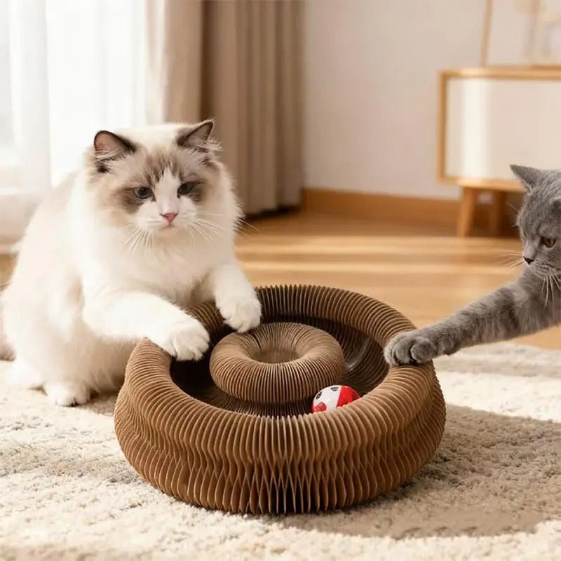 Griffoir pour chat | Dune Féline™ - Accordéon - Transportdodochat