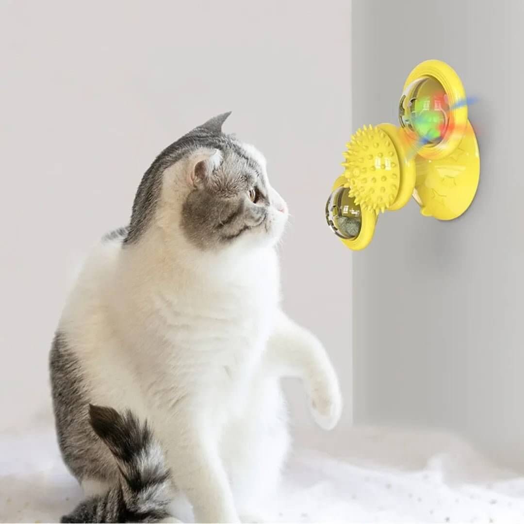 Jeux pour chat | Stimulation Active - Transportdodochat