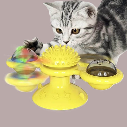 Jeux pour chat | Stimulation Active - Transportdodochat