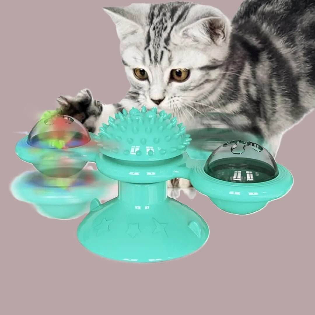 Jeux pour chat | Stimulation Active - Transportdodochat