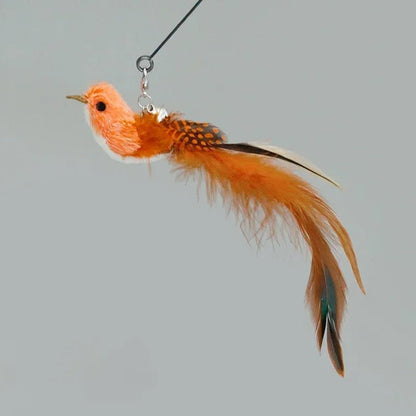 Jouet chat interactif | Intelligence Féline - Transportdodochat