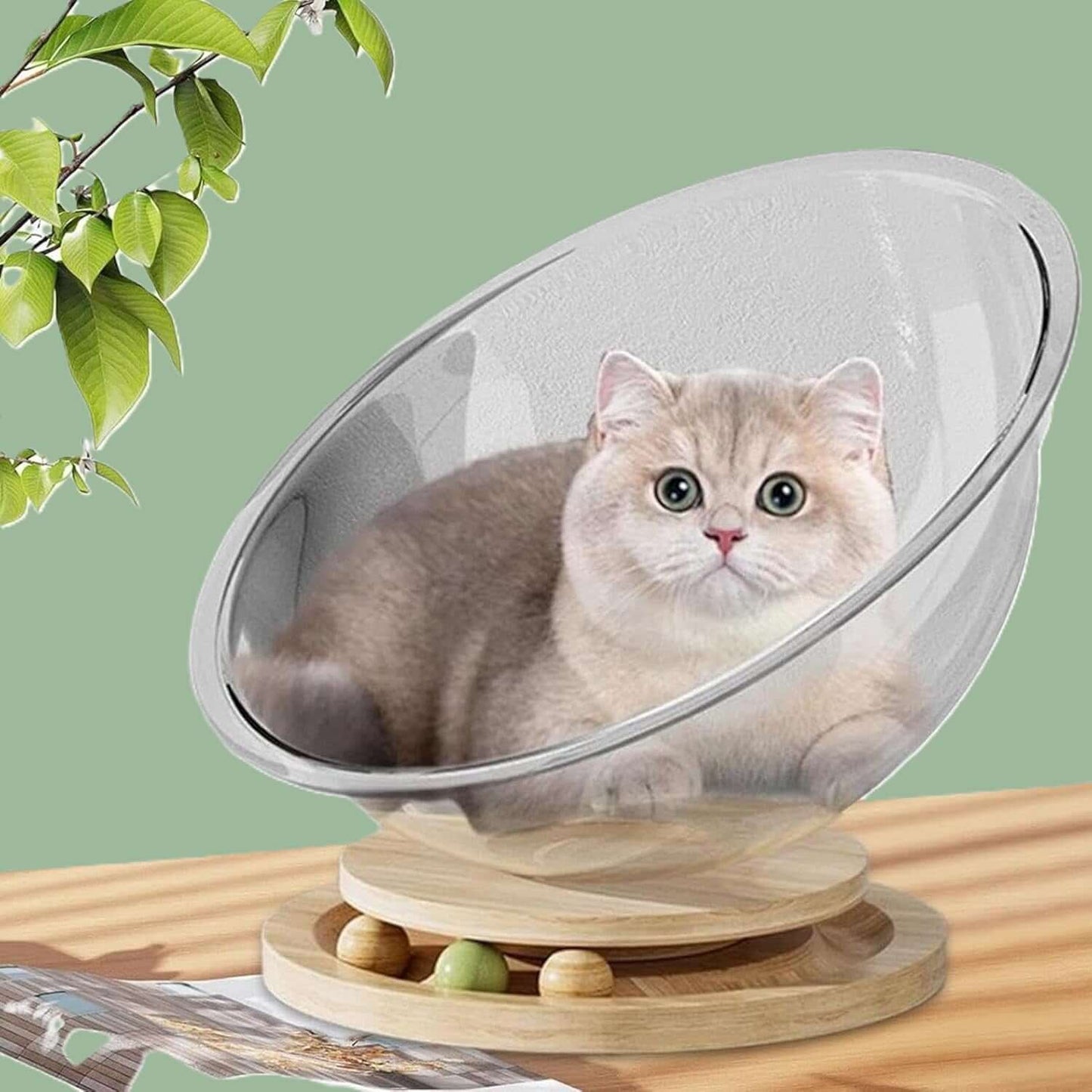 Lit pour chat transparent chat attentif