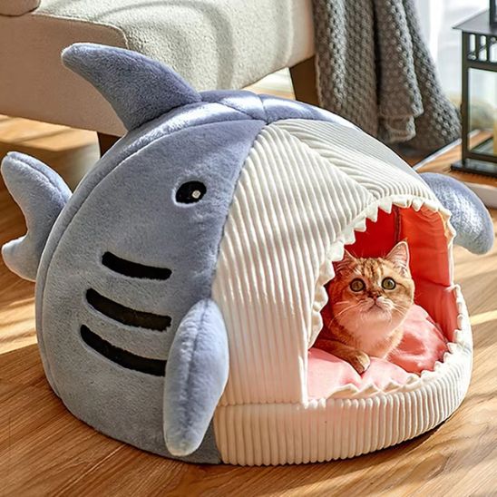 Maison pour chat requin bleu chat surpris