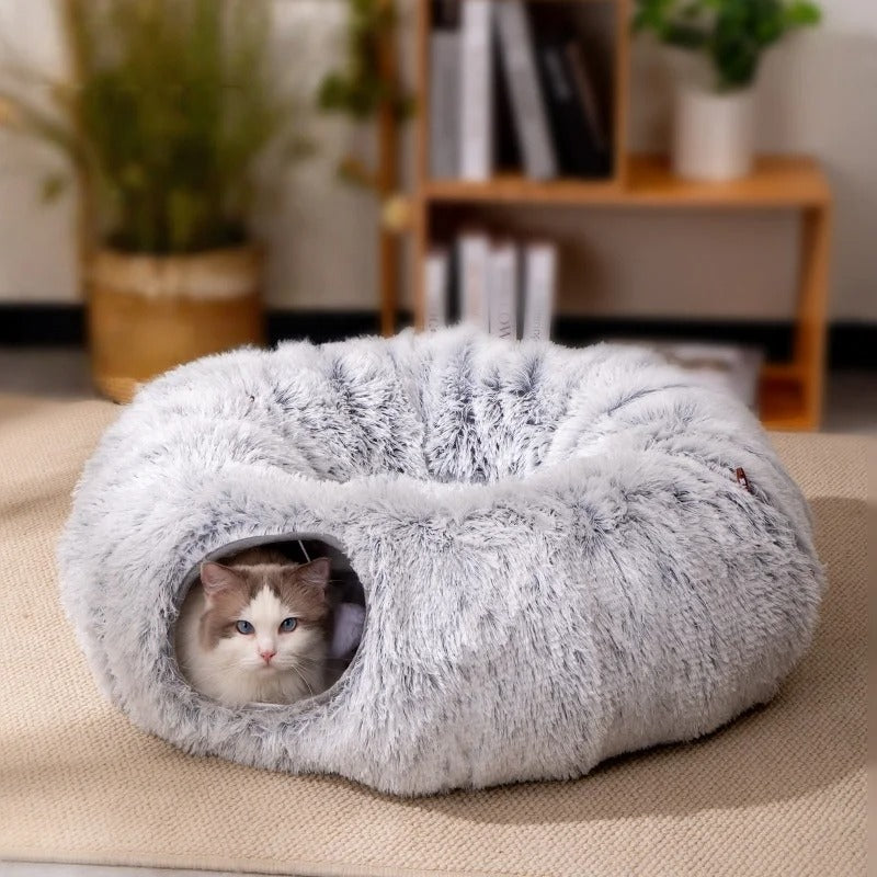 Maison pour les chats chat dans tunnel