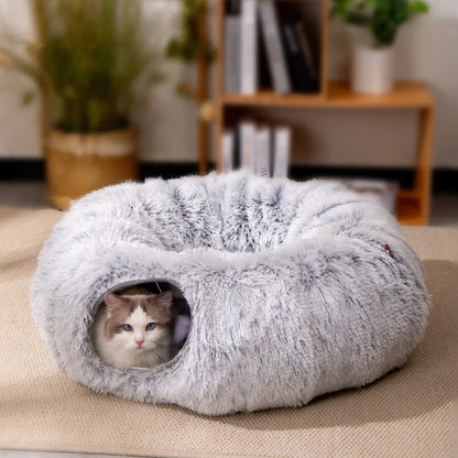Maison pour les chats chat dans tunnel