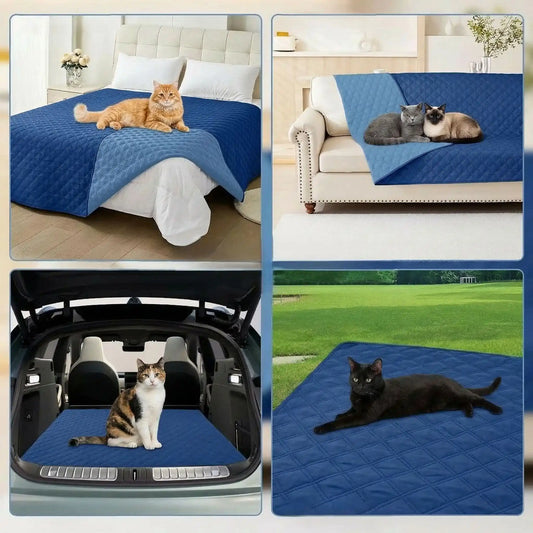 Protection canapé chat bleu différentes utilisations