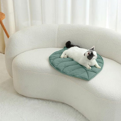 Tapis chat feuille sofa chat repos