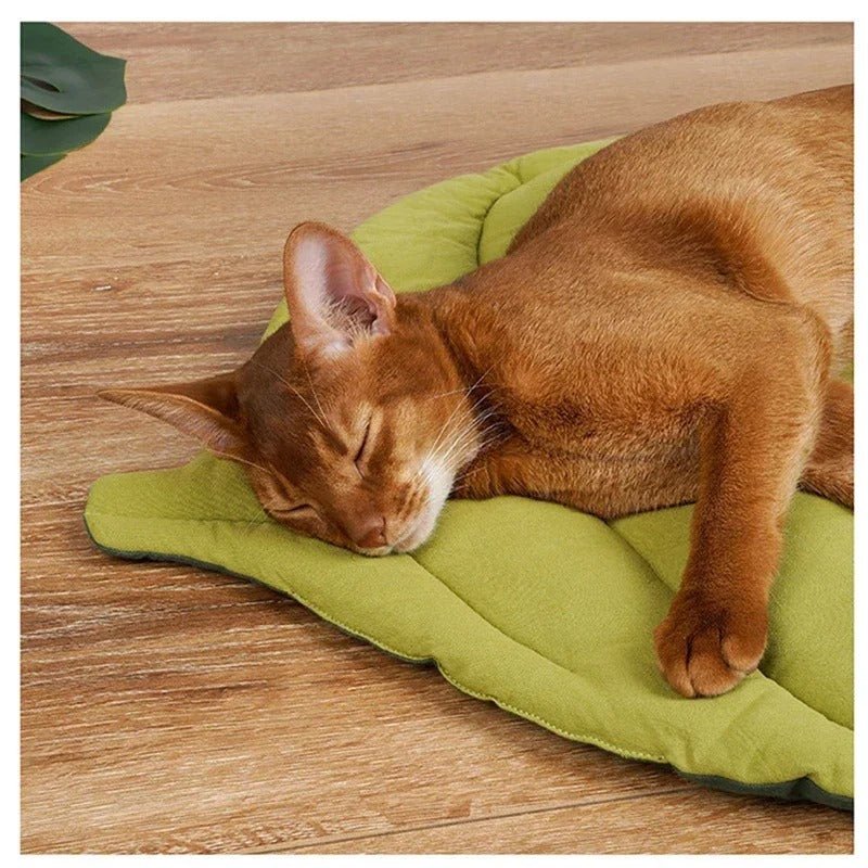 Tapis chat feuille vert chat assoupi