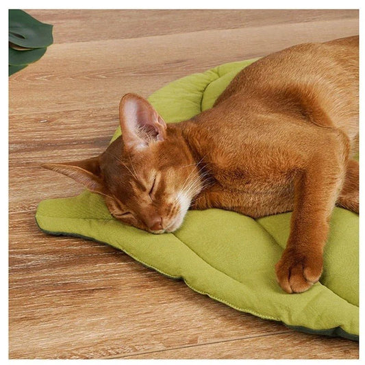 Tapis chat feuille vert chat assoupi