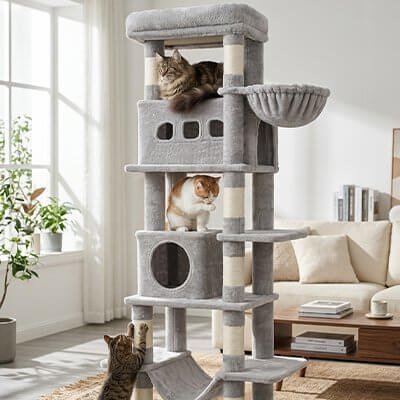 Arbre à Chat | Le Refuge Perché™ - Transportdodochat