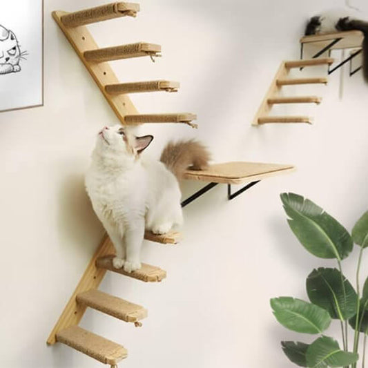 Arbre a chat mural | Station d'Observation™ - Transportdodochat