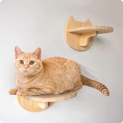 Arbre a chat mural | Station d'Observation™ - Transportdodochat