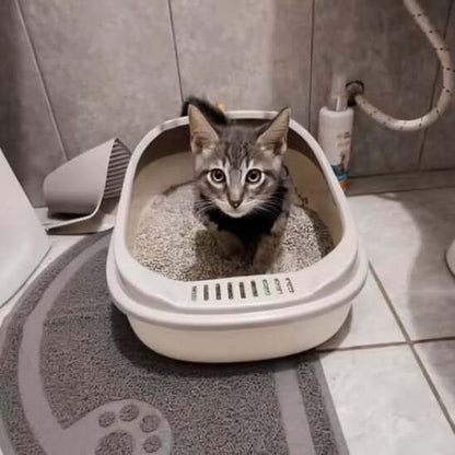 Bac à litière chat beige chat aux besoins