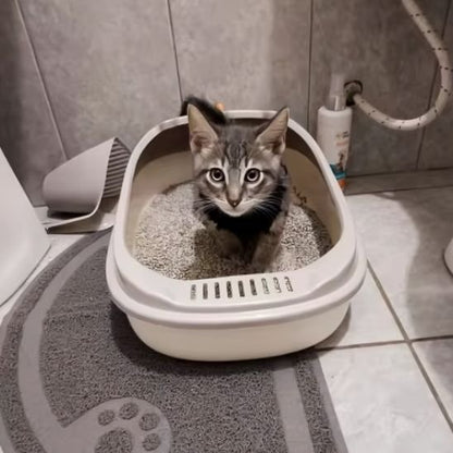 Bac à litière chat | Compagnon Propre™ - Transportdodochat